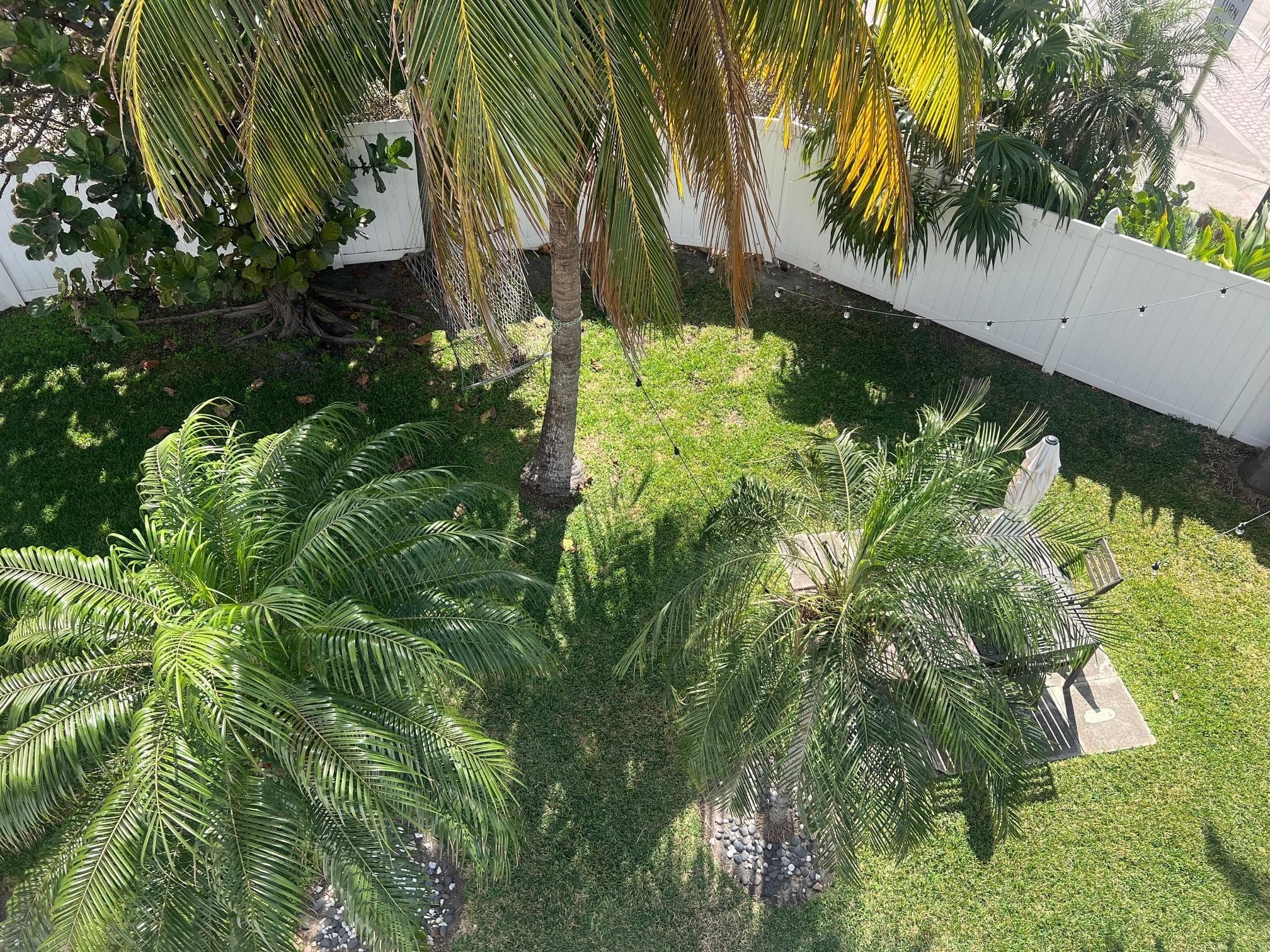355 Virginia Street, Hollywood, FL 33019 — photo 17 of 34