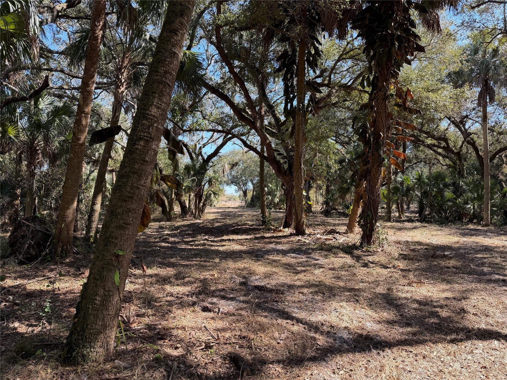 Tbd SE 40th Avenue, Okeechobee, FL 34974 — photo 5 of 7