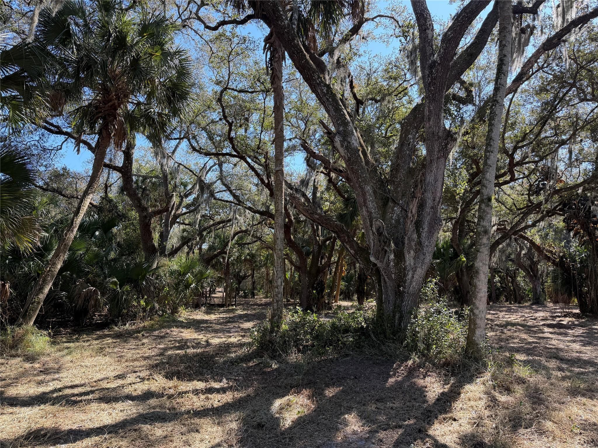 Tbd SE 40th Avenue, Okeechobee, FL 34974 — photo 6 of 7