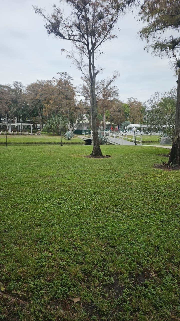 4851 NW 26th Court 342, Lauderdale Lakes, FL 33313 — photo 7 of 73