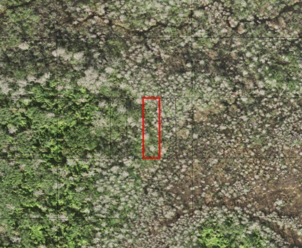0 Holopaw Groves Road, St. Cloud, FL 34772 — photo
