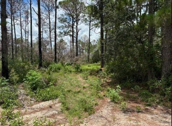 328 Claverton Drive, Lake Placid, FL 33852 — photo