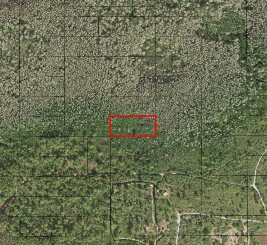 0 Holopaw Groves Road, St. Cloud, FL 34772 — photo 1 of 1