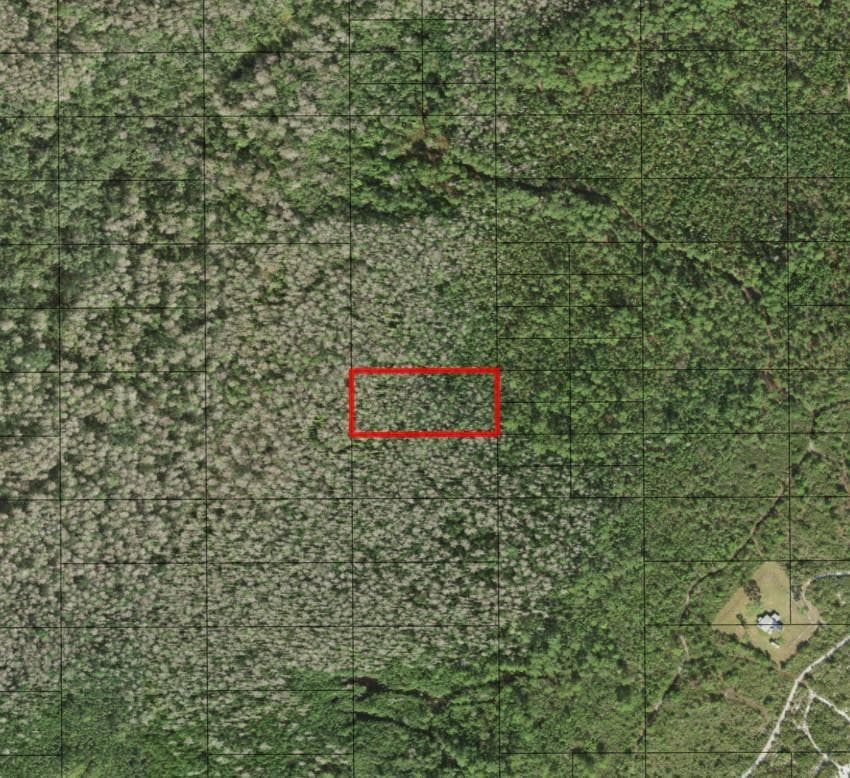 0 Holopaw Groves Road, St. Cloud, FL 34772 — photo 1 of 1