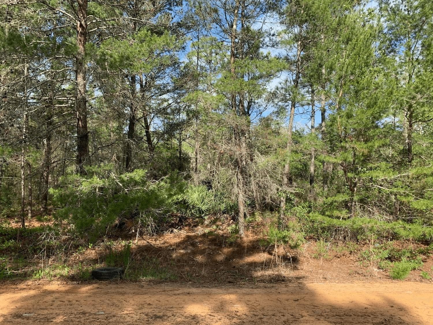 0 Louise Avenue, Interlachen, FL 32148 — photo 1 of 2