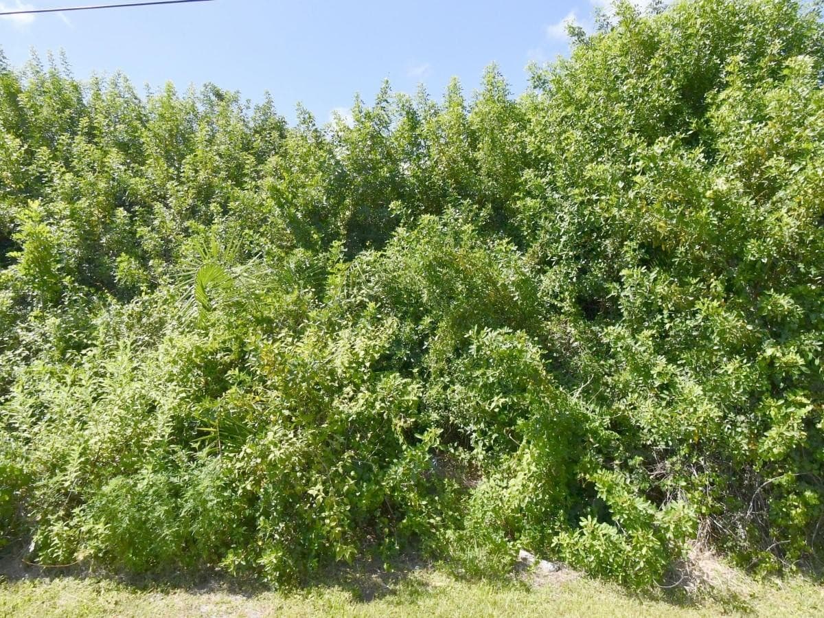 4273 SW Rosser Boulevard, Port St. Lucie, FL 34953 — photo 1 of 1