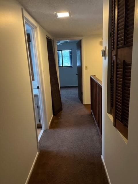 5922 Thomas Street, Hollywood, FL 33021 — photo 5 of 7