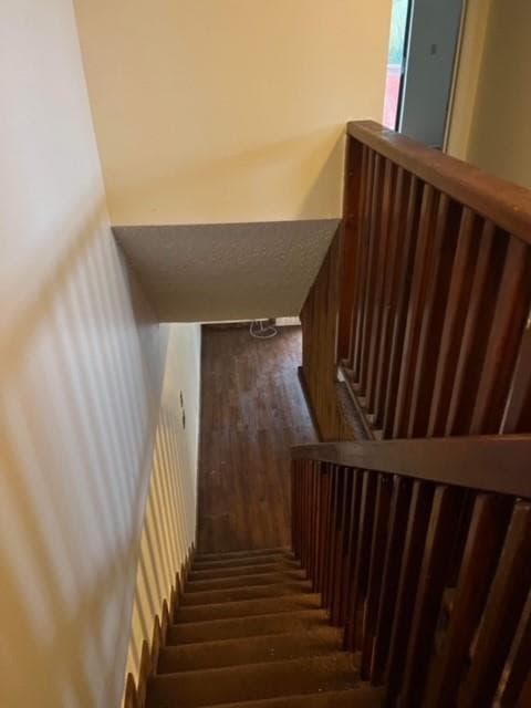 5922 Thomas Street, Hollywood, FL 33021 — photo 6 of 7