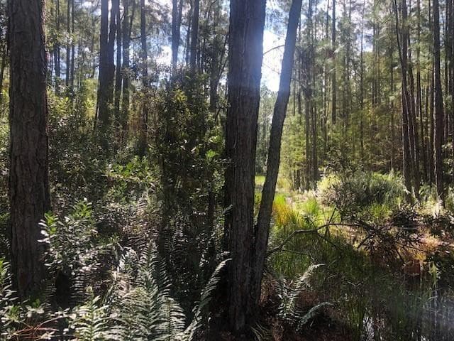 0 Old Grade Road, FL 33868 — photo 2 of 3