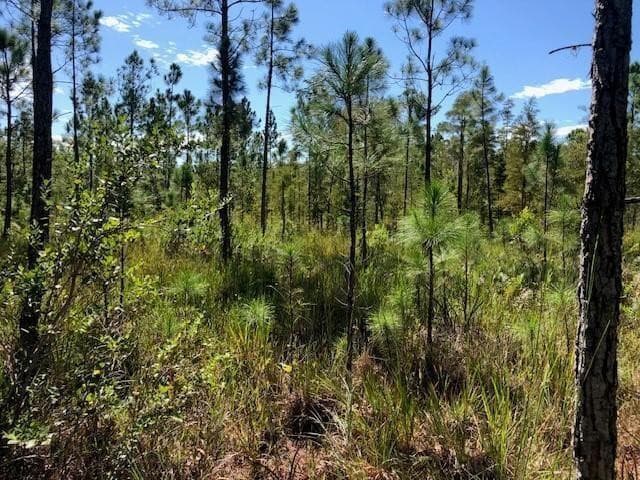 0 Old Grade Road, FL 33868 — photo 1 of 2