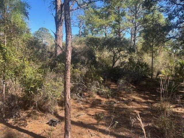 221 Rainbow Drive, Lake Placid, FL 33852 — photo 2 of 3