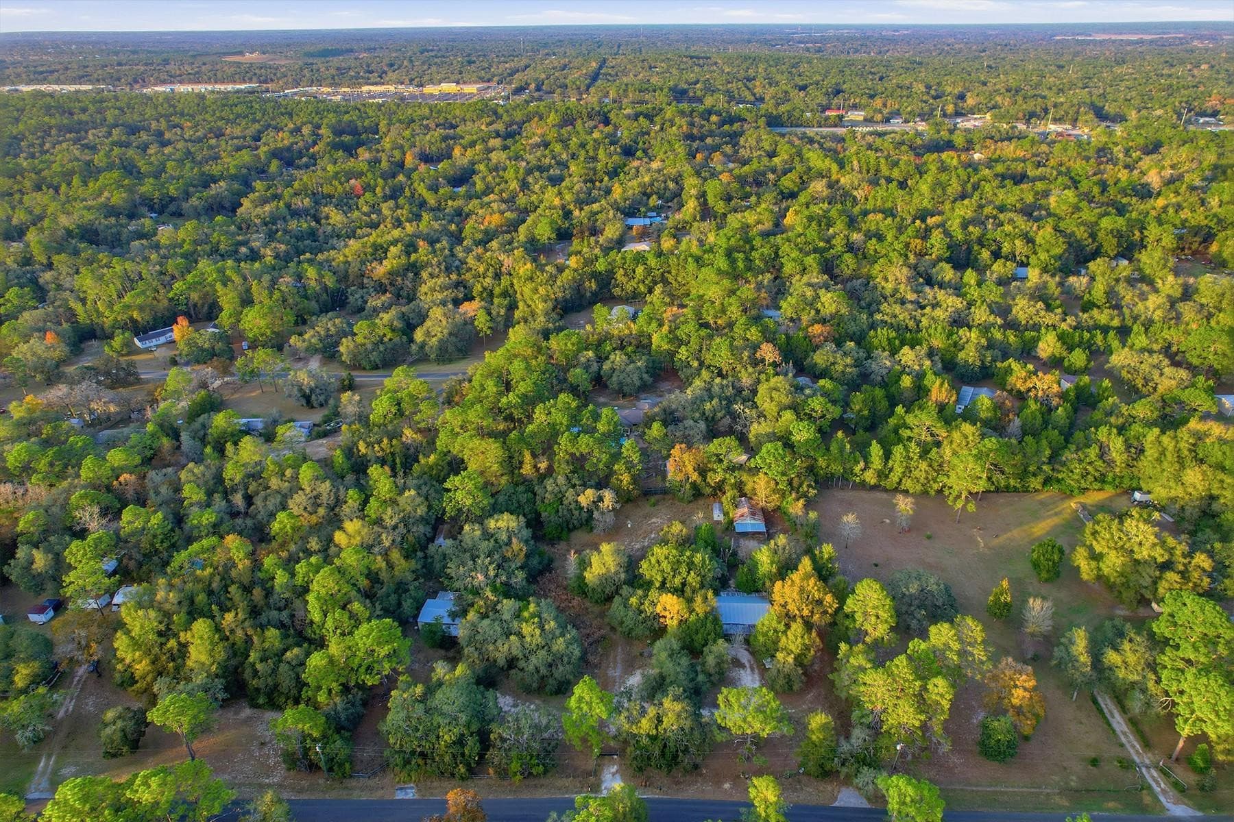 3050 E Possum Court, Inverness, FL 34452 — photo 45 of 76