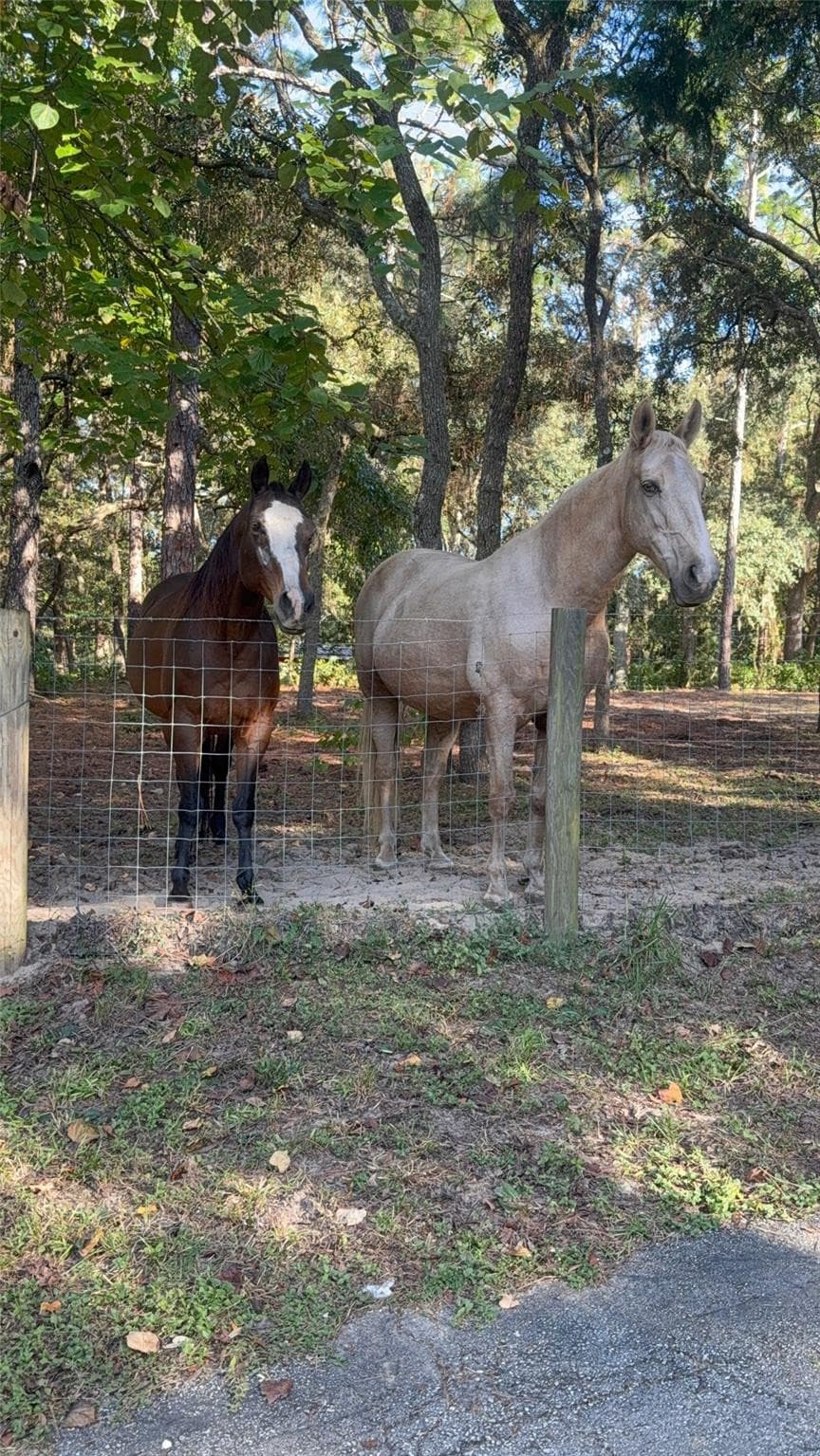 3050 E Possum Court, Inverness, FL 34452 — photo 46 of 76