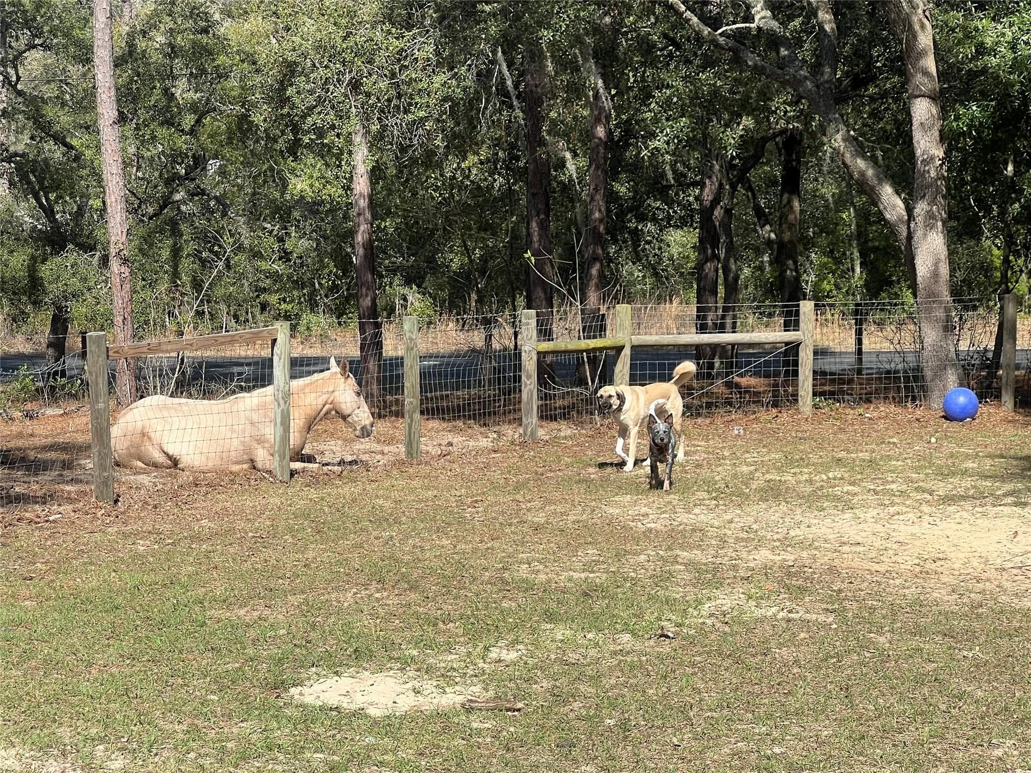 3050 E Possum Court, Inverness, FL 34452 — photo 58 of 76