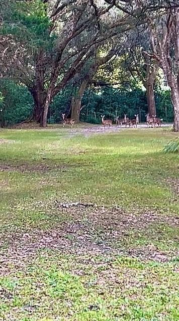 26250 Blackjack Street, Brooksville, FL 34601 — photo 55 of 63