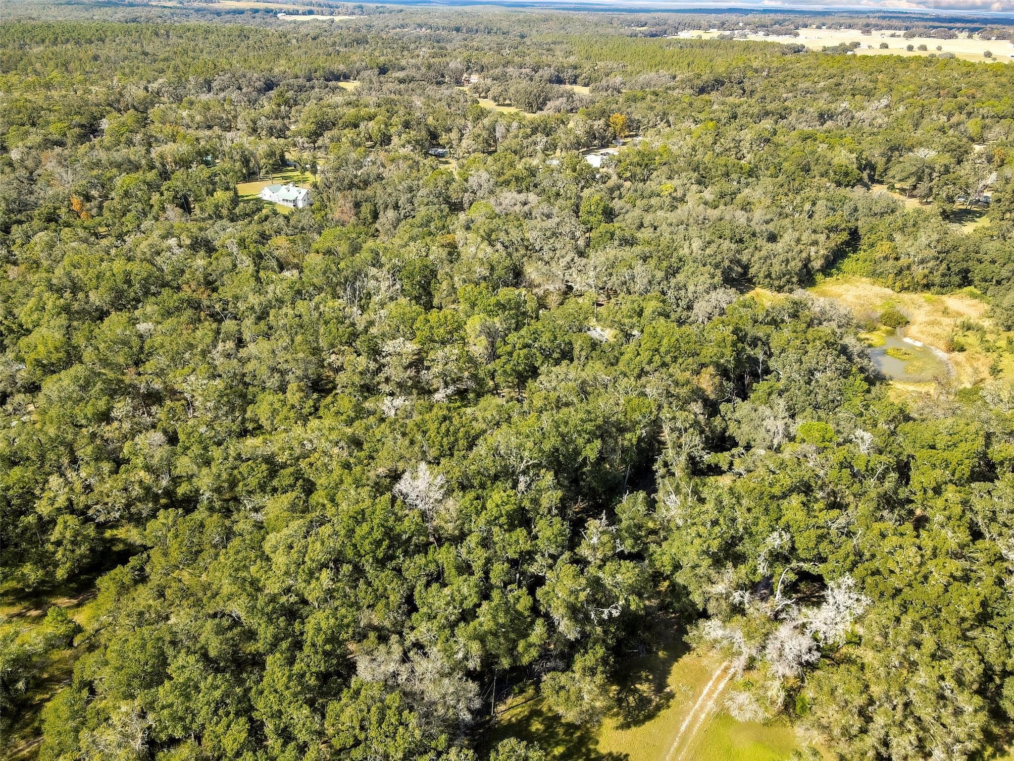 26250 Blackjack Street, Brooksville, FL 34601 — photo 60 of 63