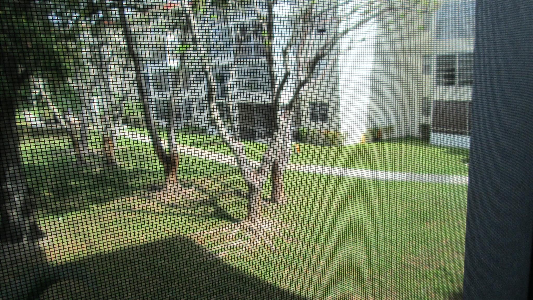 3001 NW 48th Avenue 237, Lauderdale Lakes, FL 33313 — photo 20 of 20
