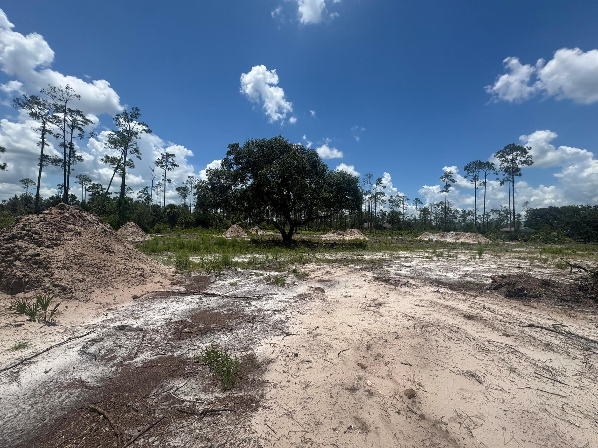 32801 Highway 441, Okeechobee, FL 34972 — photo 4 of 36
