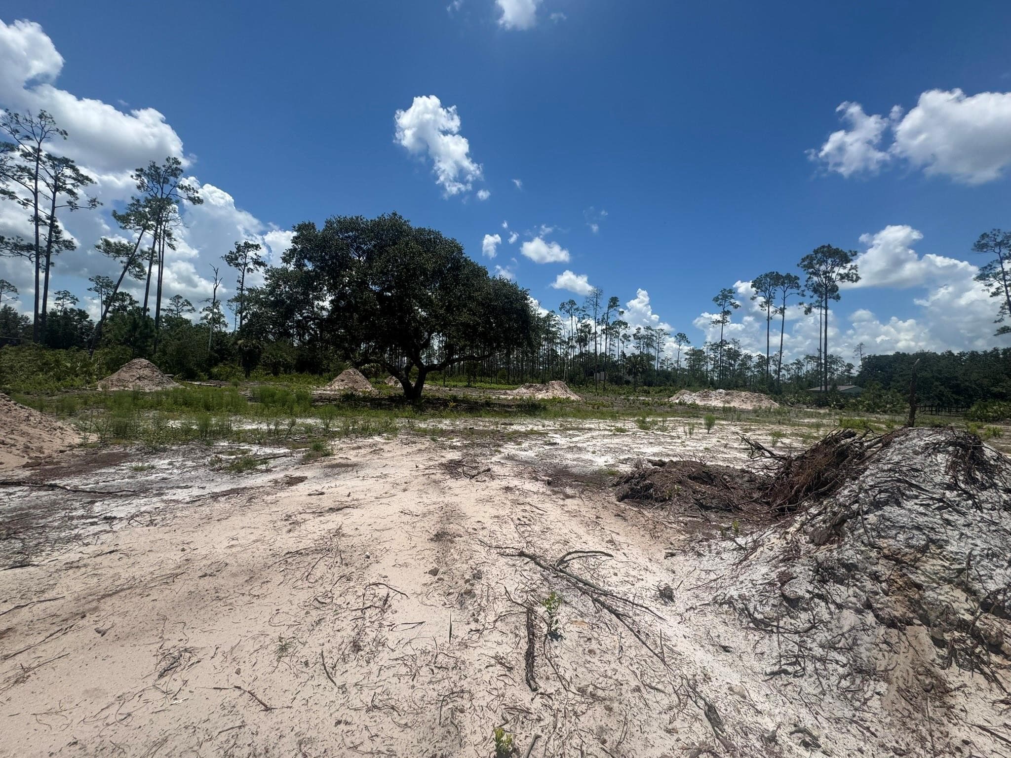 32801 Highway 441, Okeechobee, FL 34972 — photo 5 of 36