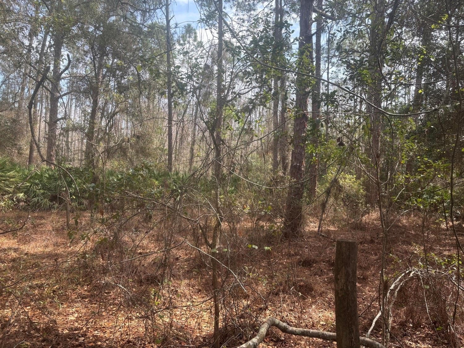0 Old Grade Road, FL 33868 — photo 1 of 2