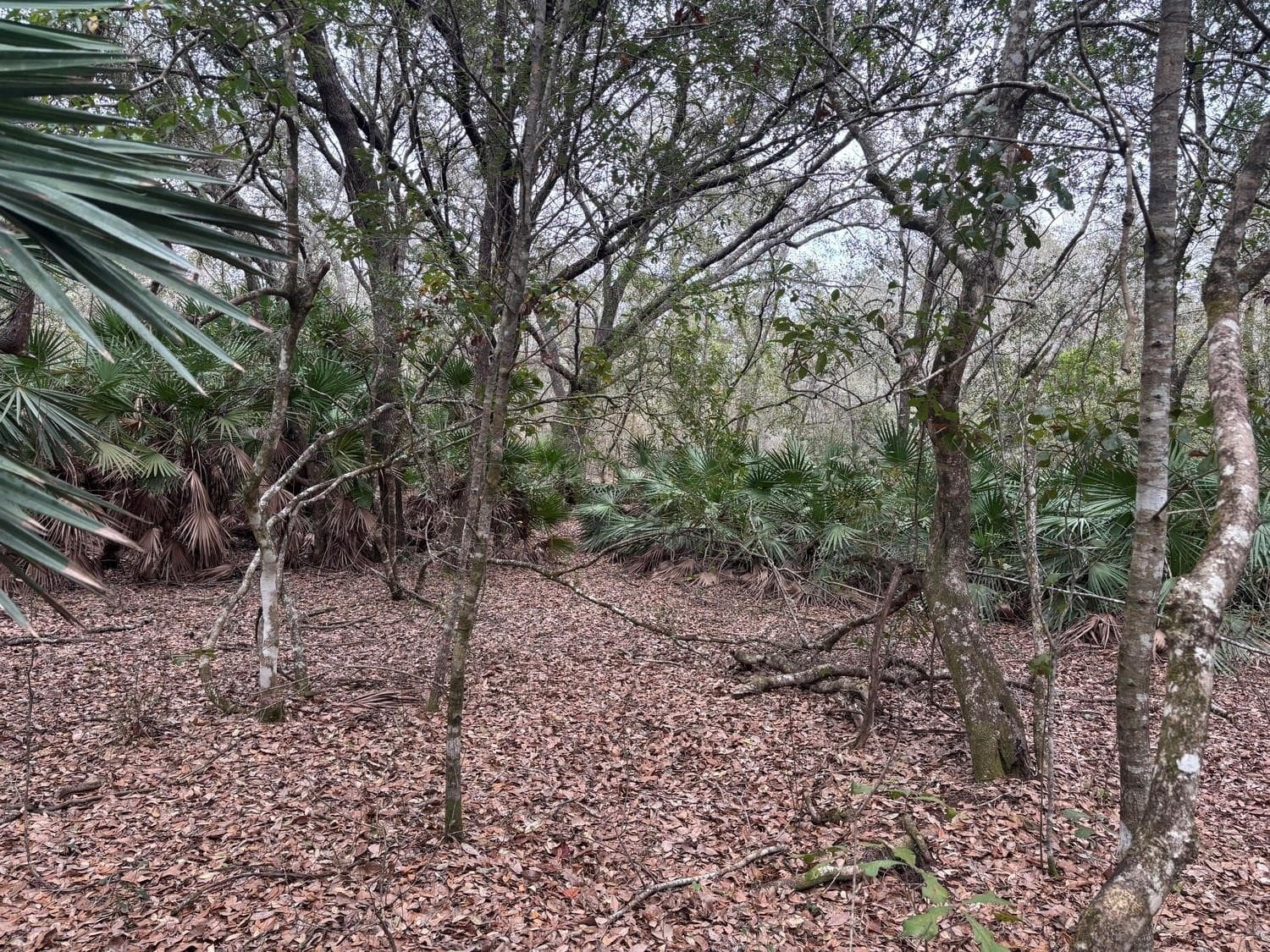 0 Old Grade Road, FL 33868 — photo 1 of 3
