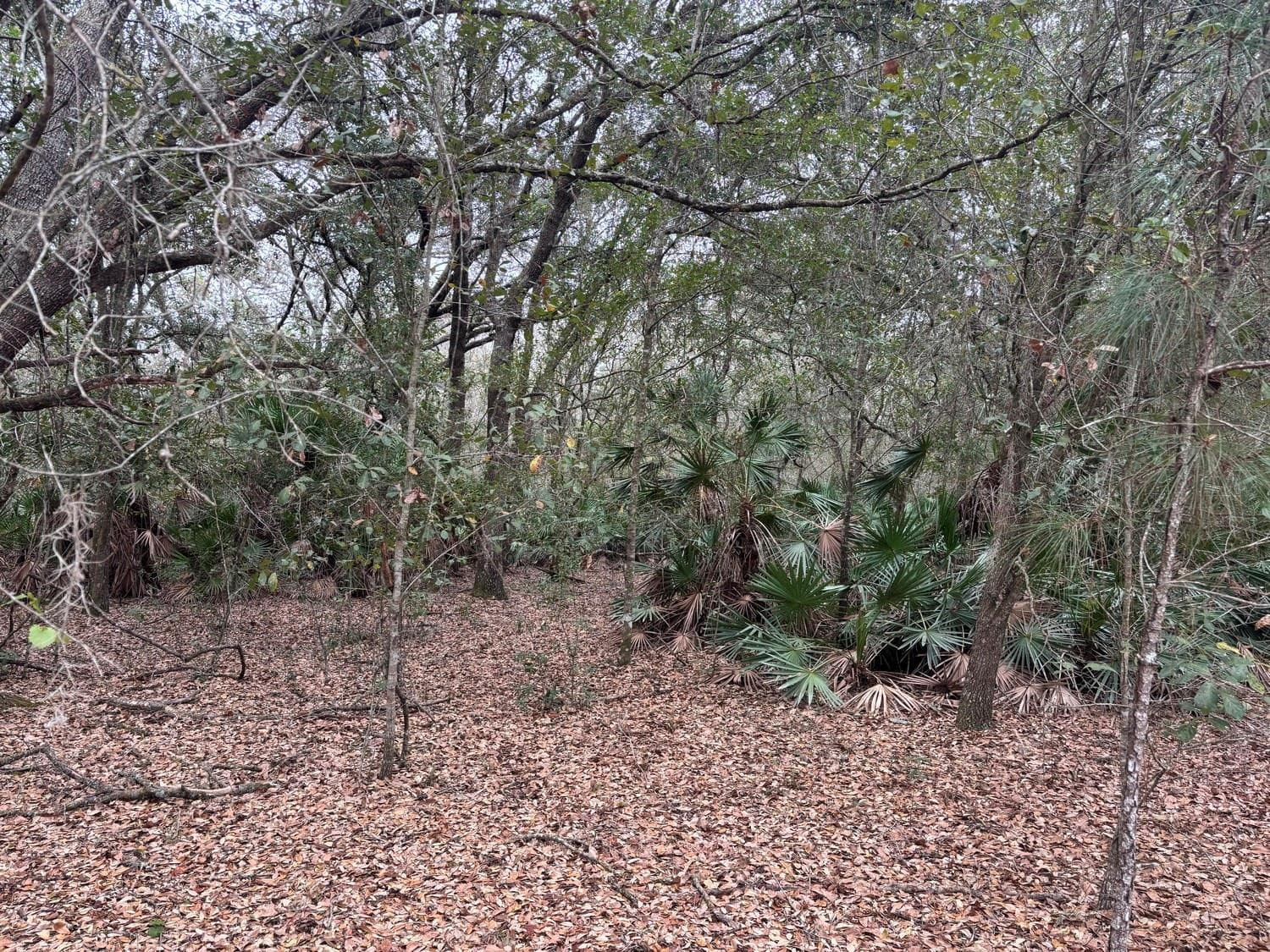 0 Old Grade Road, FL 33868 — photo 3 of 3