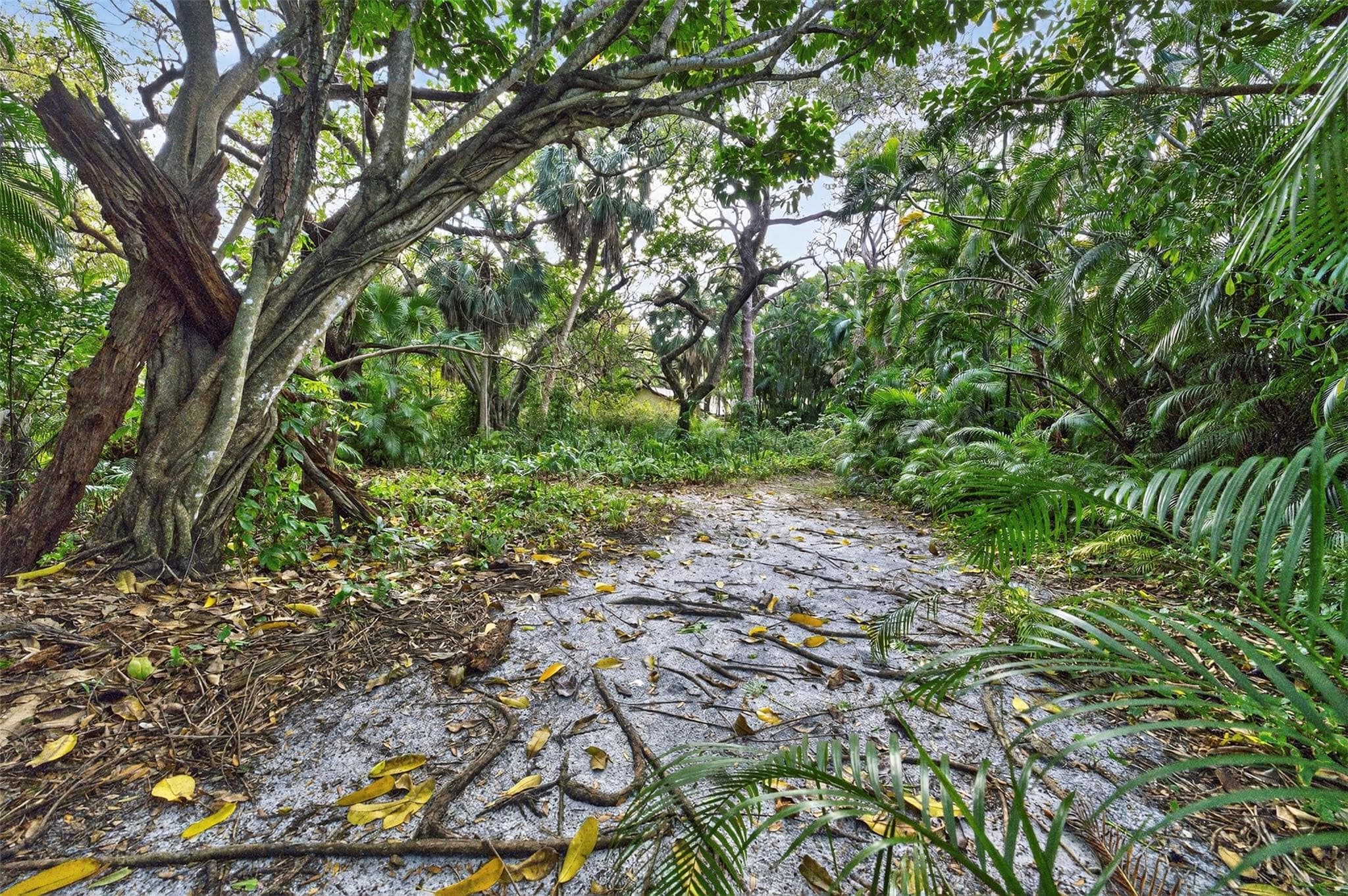 1711 SW 30th Place, Fort Lauderdale, FL 33315 — photo 42 of 47