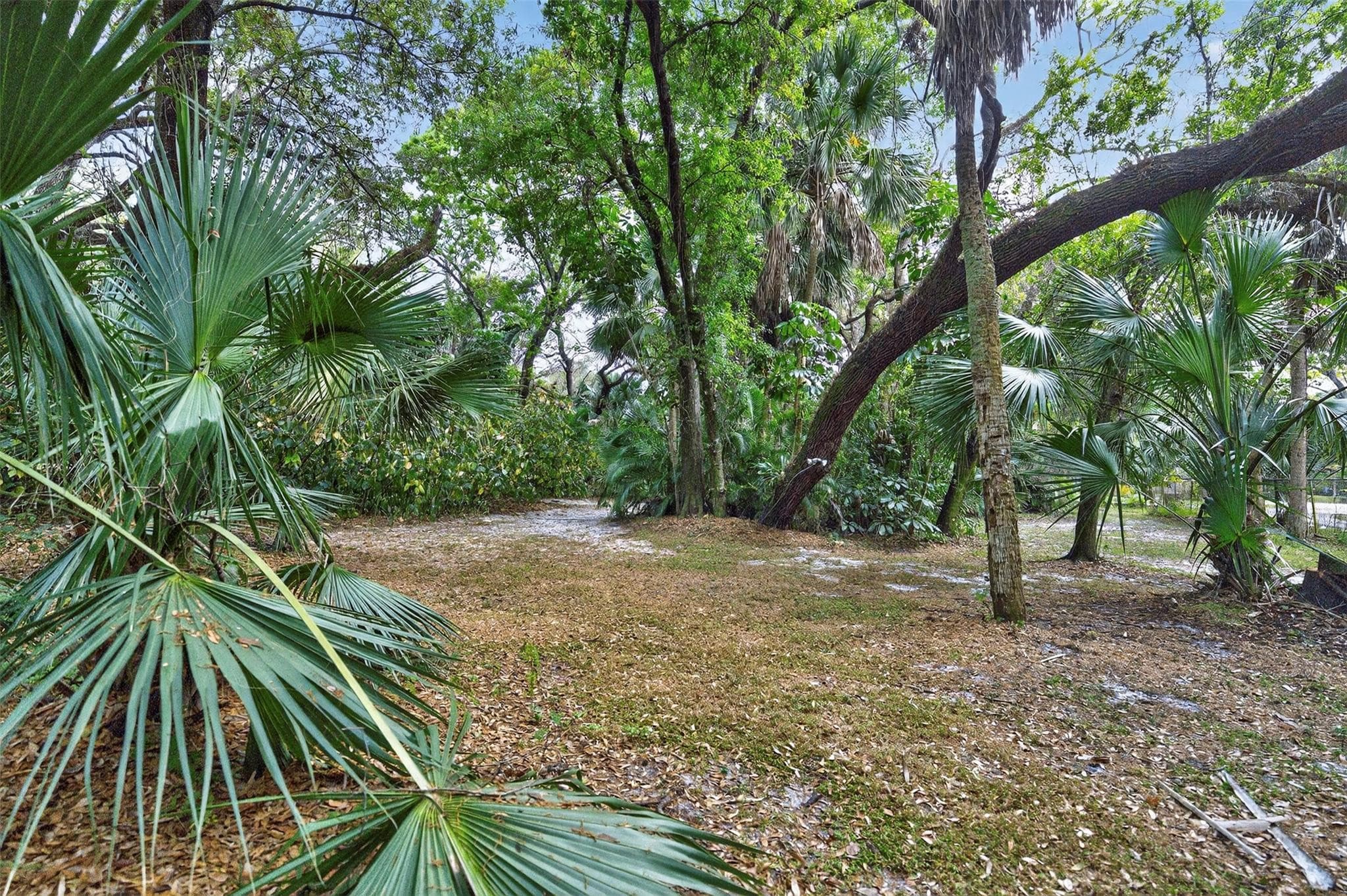 1711 SW 30th Place, Fort Lauderdale, FL 33315 — photo 31 of 42