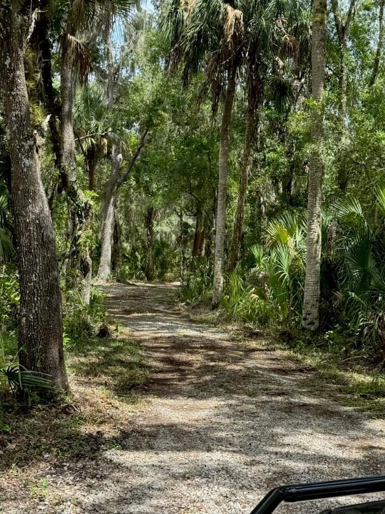 1040 Cracker Hammock, Sebring, FL 33875 — photo 2 of 12