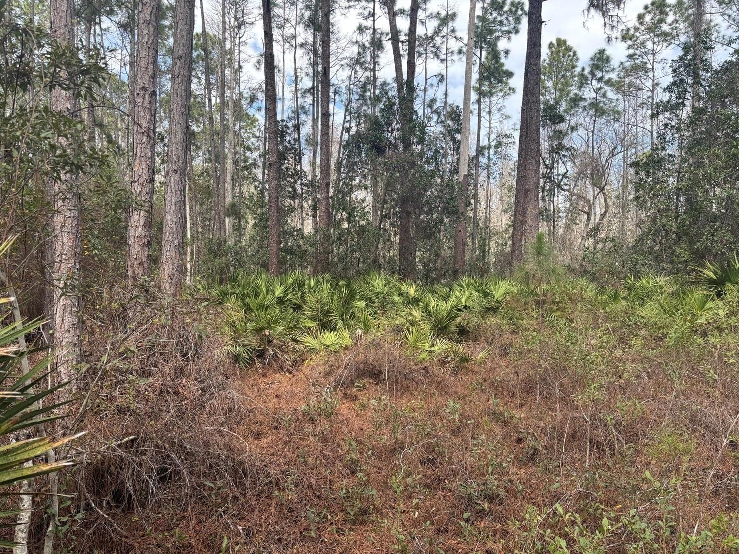 0 Old Grade Road, FL 33868 — photo 1 of 3