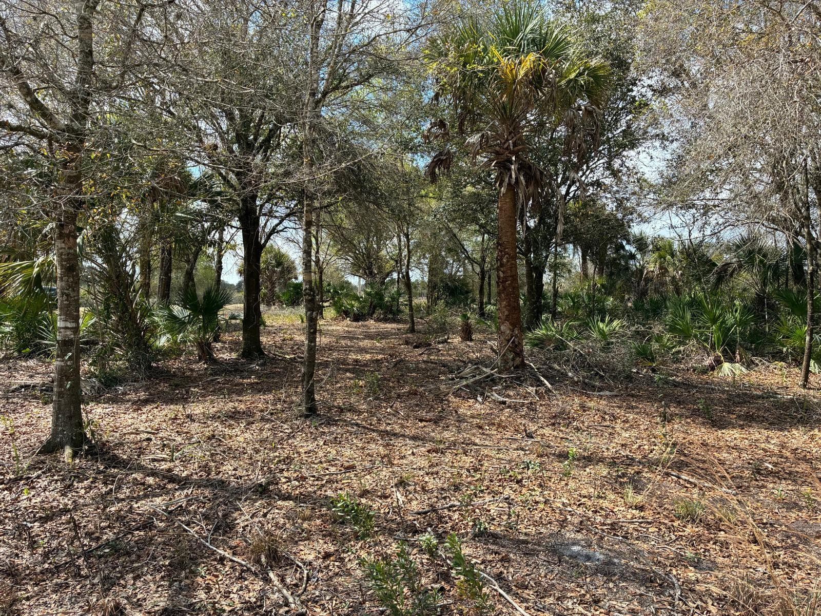 19731 NW 266th Street, Okeechobee, FL 34972 — photo 5 of 16