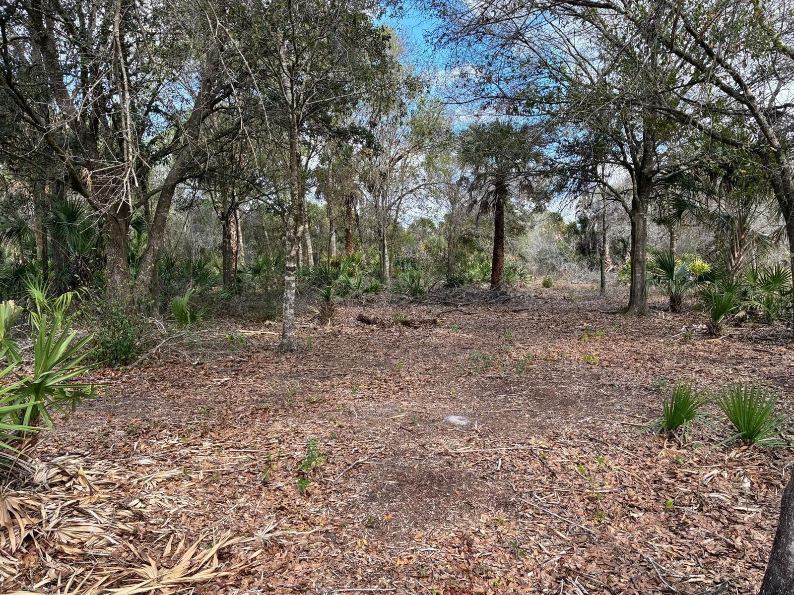 19731 NW 266th Street, Okeechobee, FL 34972 — photo 7 of 16