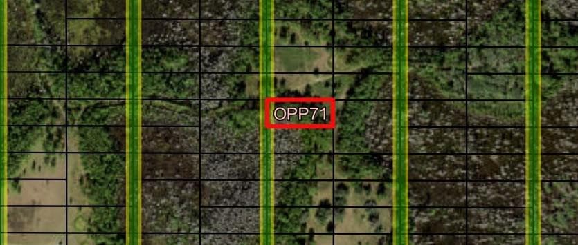0 Old Grade Road, FL 33868 — photo 1 of 3