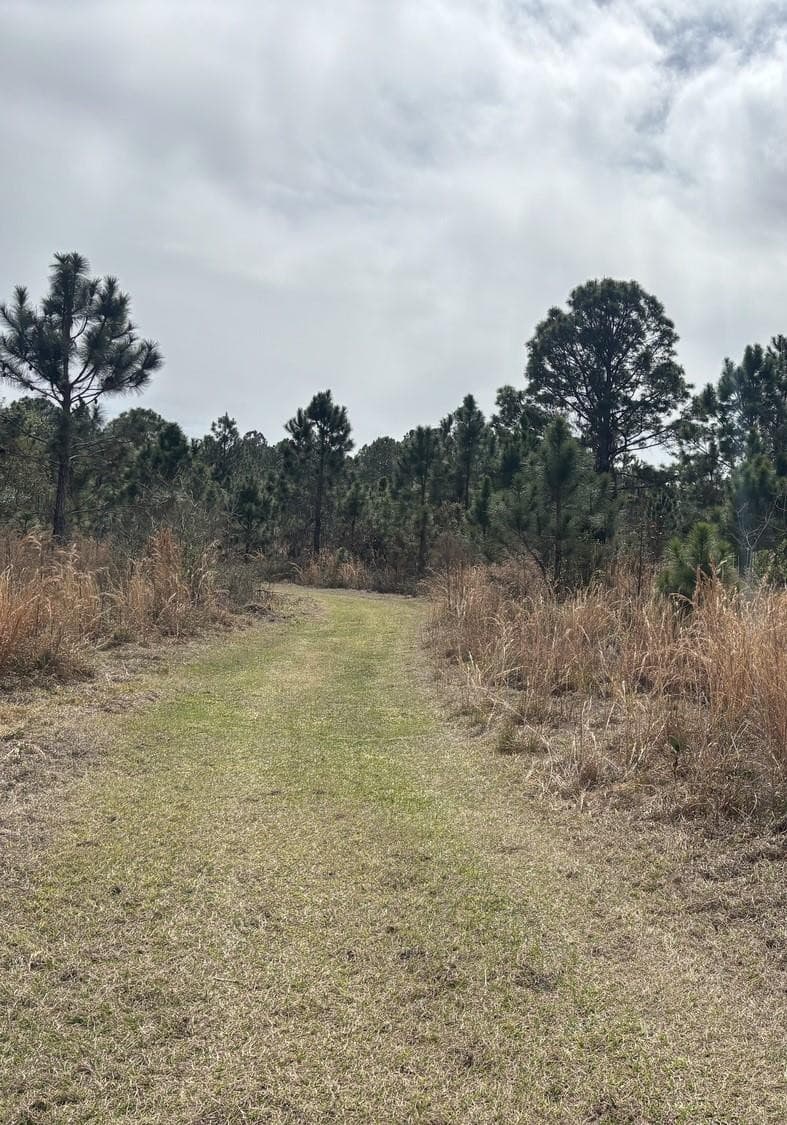 0 Old Grade Road, FL 33868 — photo 1 of 2