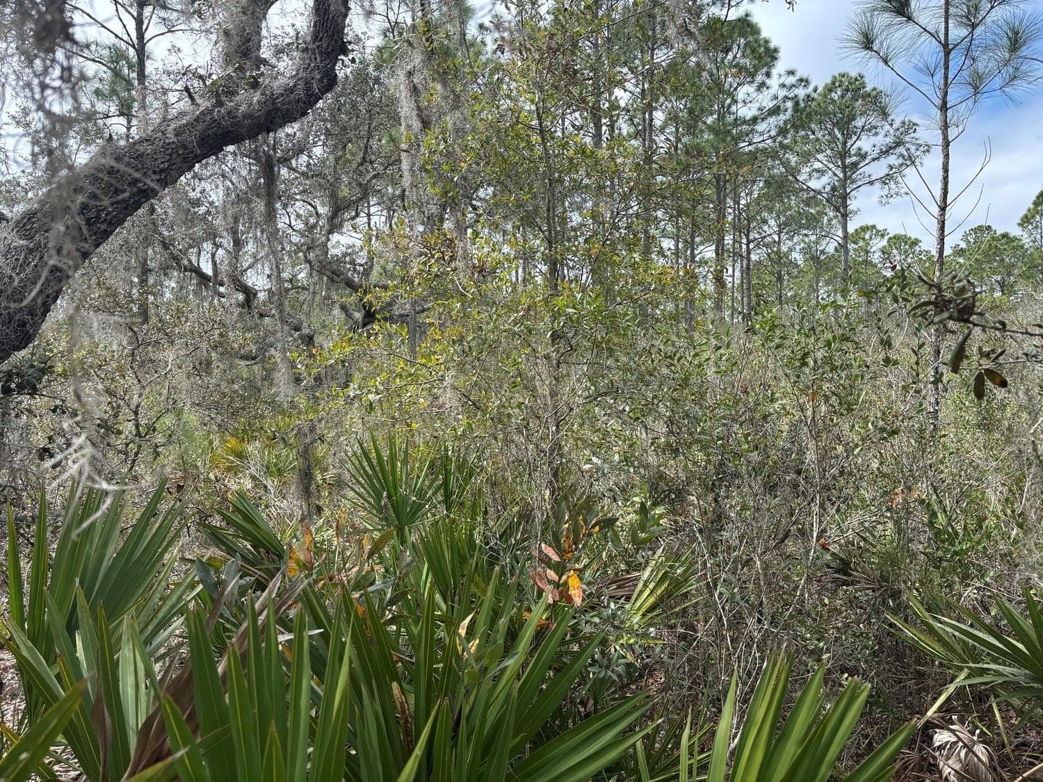 0 Old Grade Road, FL 33868 — photo 2 of 2