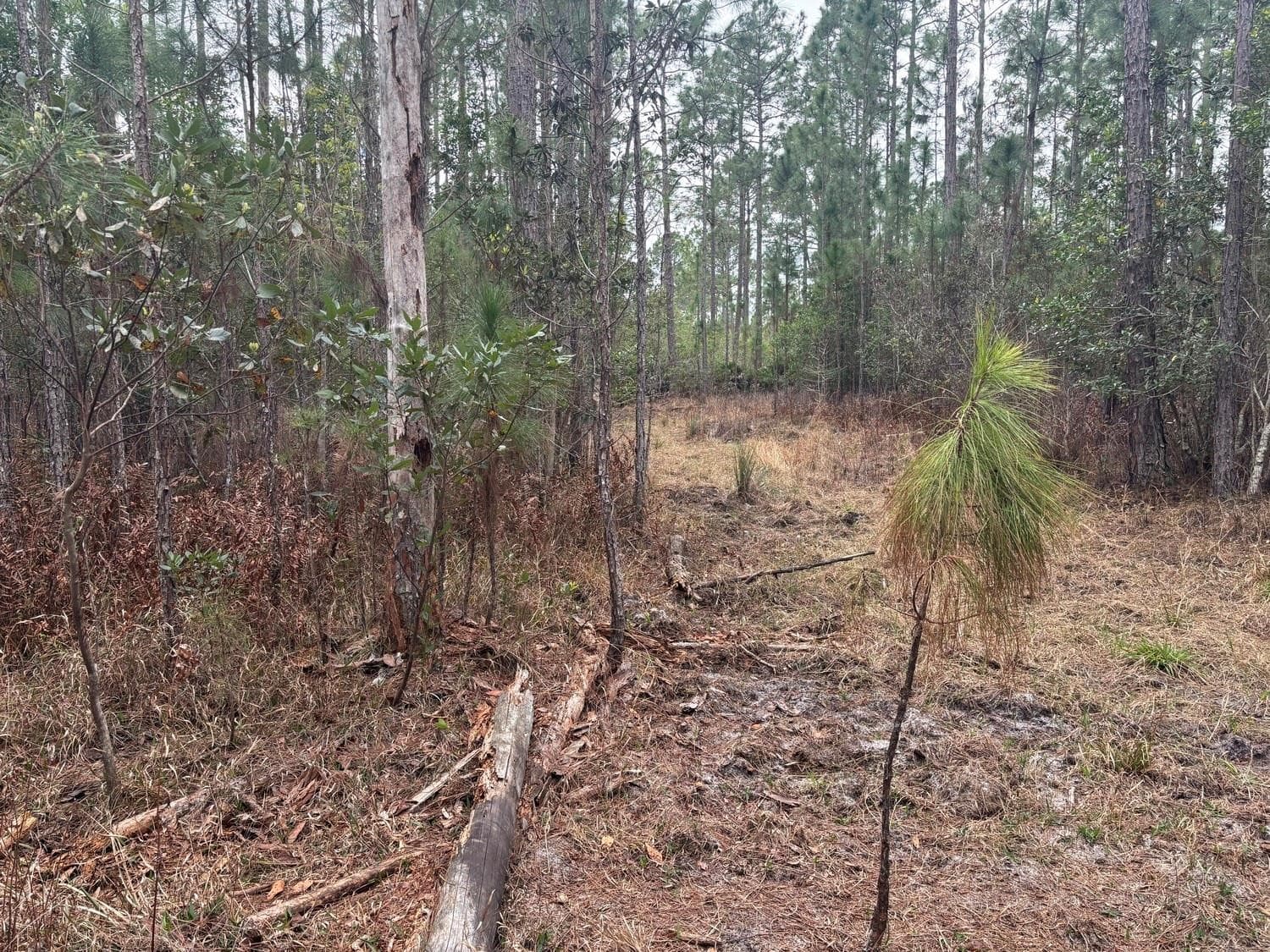 Unimproved Land in South Florida — photo 2 of 3