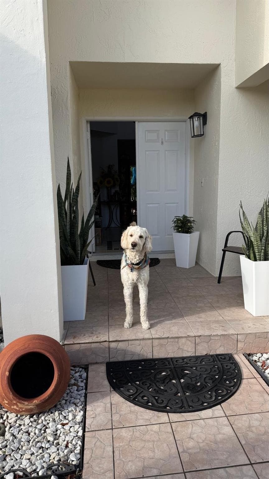 593 Bedford Avenue, Weston, FL 33326 — photo 10 of 59