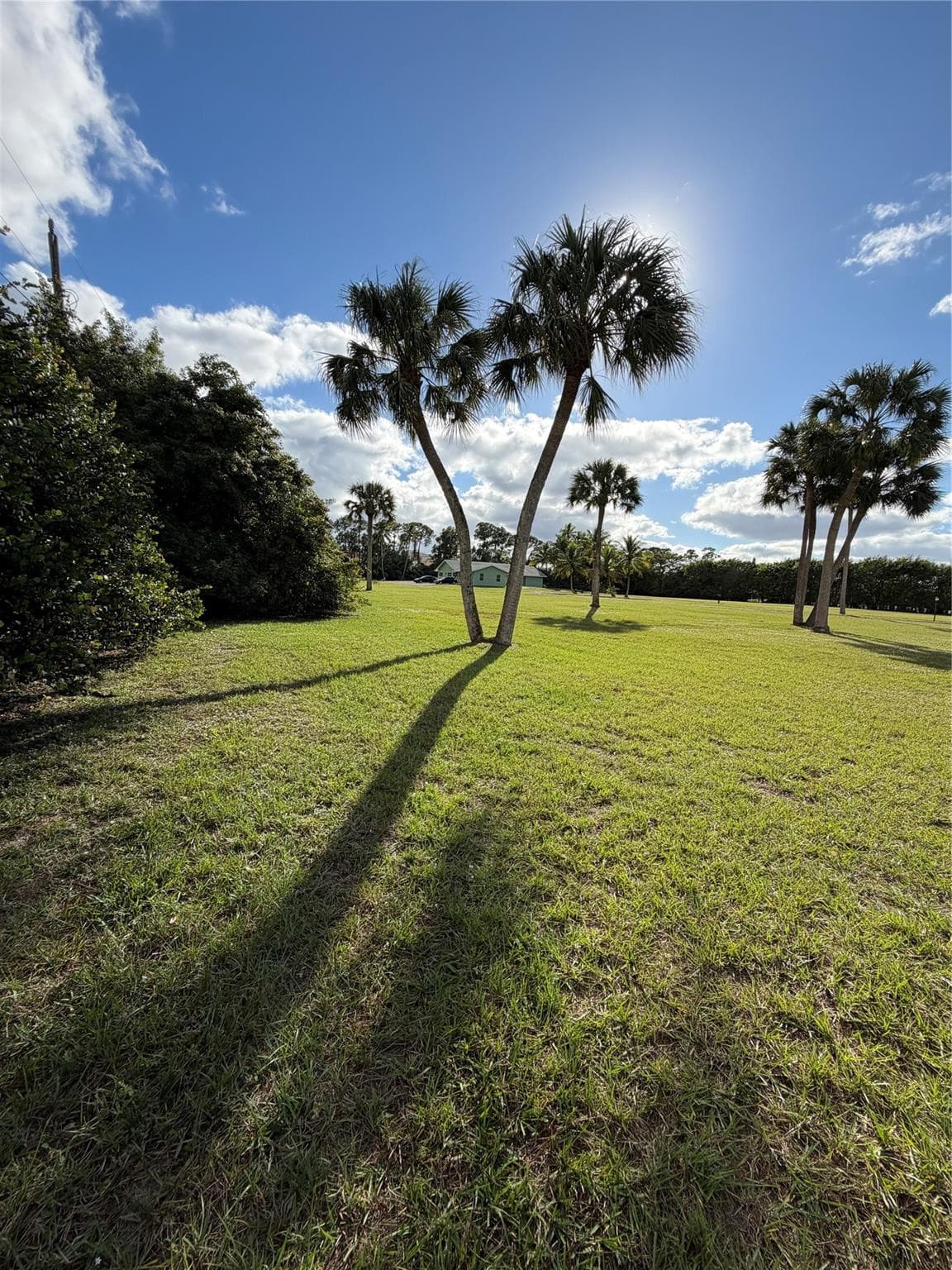 4656 Lillian Avenue, Palm Beach Gardens, FL 33418 — photo 19 of 25