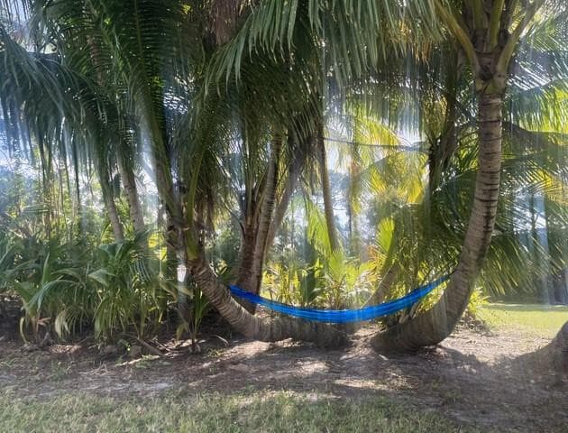 4656 Lillian Avenue, Palm Beach Gardens, FL 33418 — photo 23 of 25