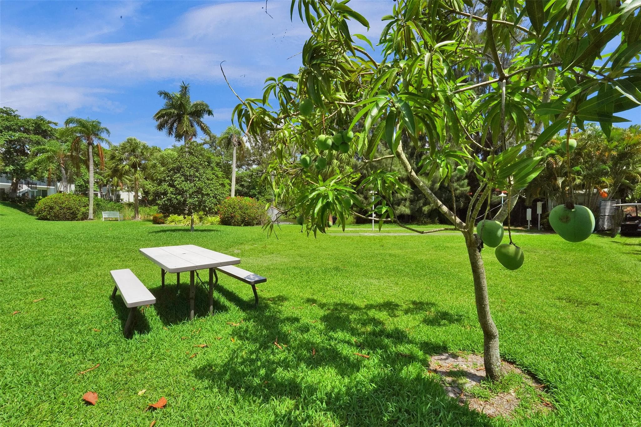 1055 SE 15th Street 14c, Fort Lauderdale, FL 33316 — photo 29 of 33