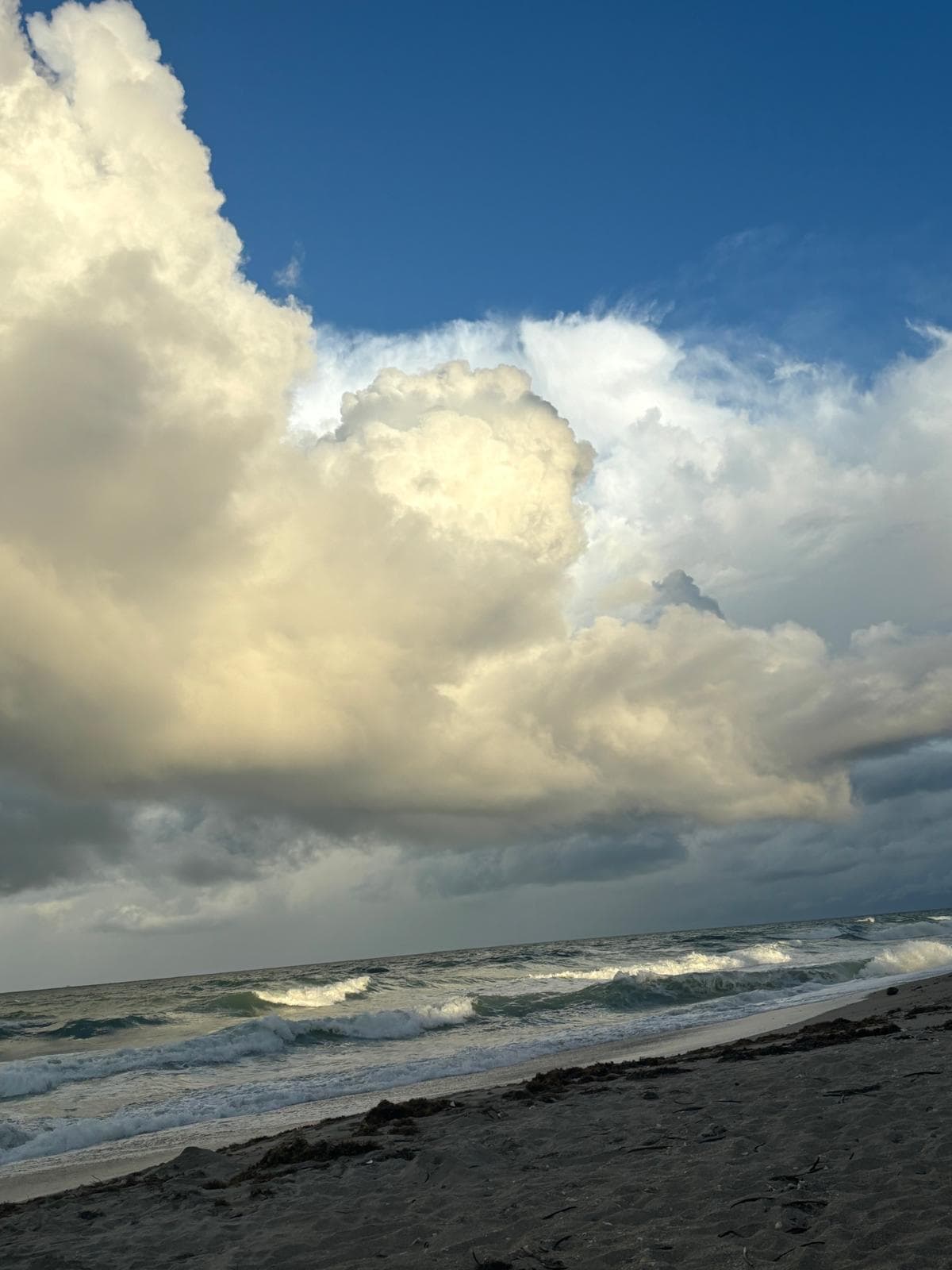 9900 S Ocean Drive 1, Jensen Beach, FL 34957 — photo 20 of 24