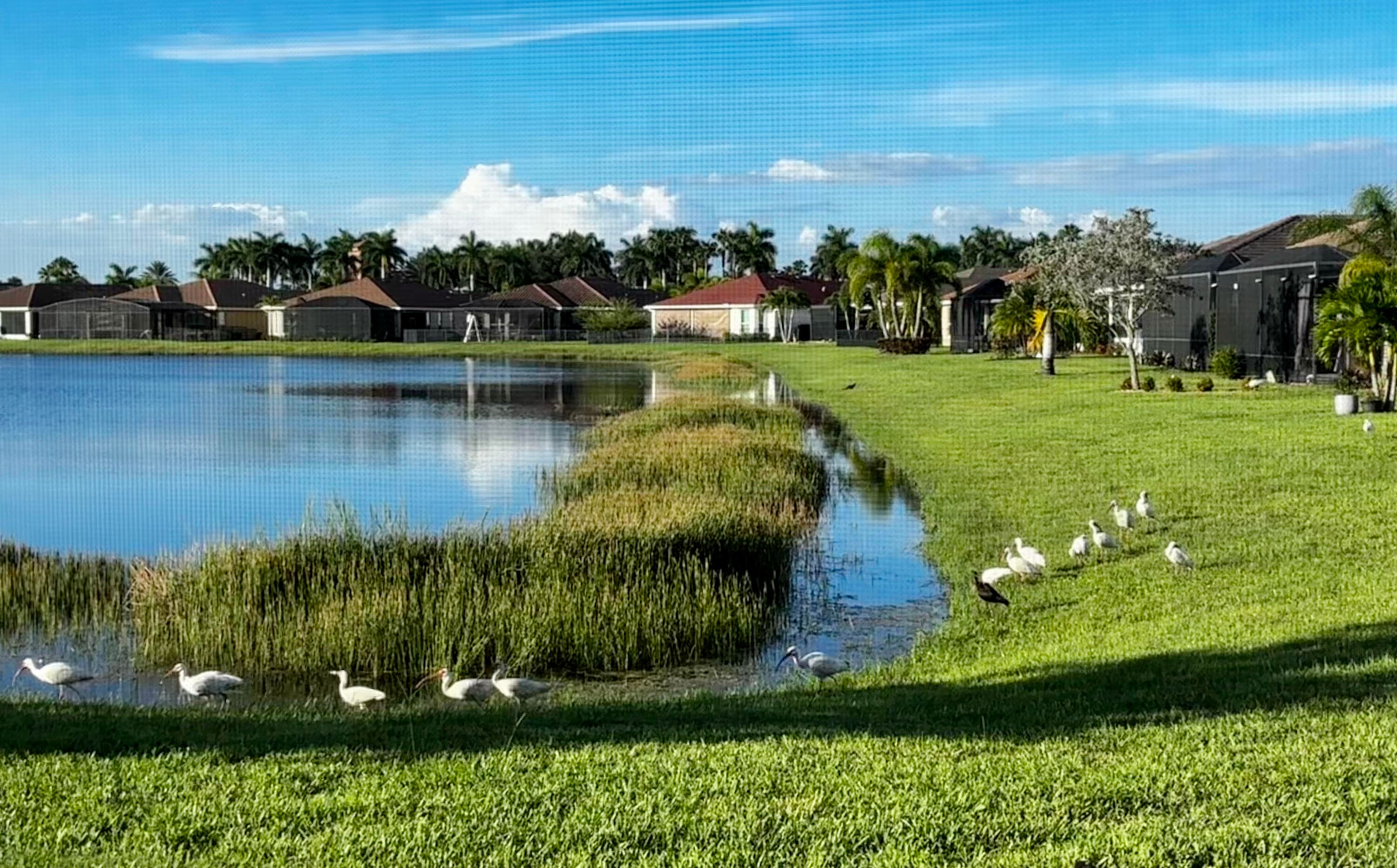 10288 SW Yellowwood Avenue, Port St. Lucie, FL 34987 — photo 43 of 75