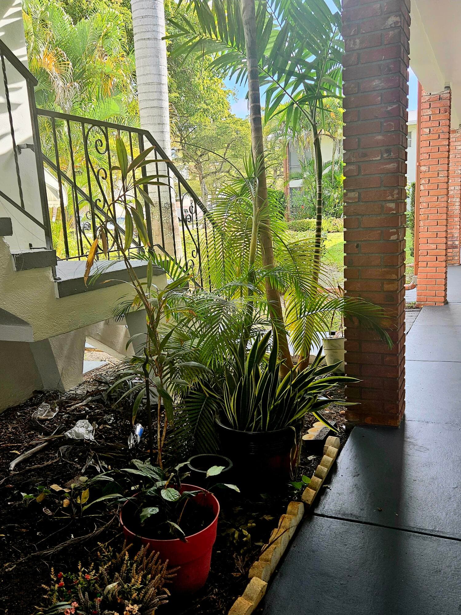 3700 Harrison Street 8a, Hollywood, FL 33021 — photo 13 of 21