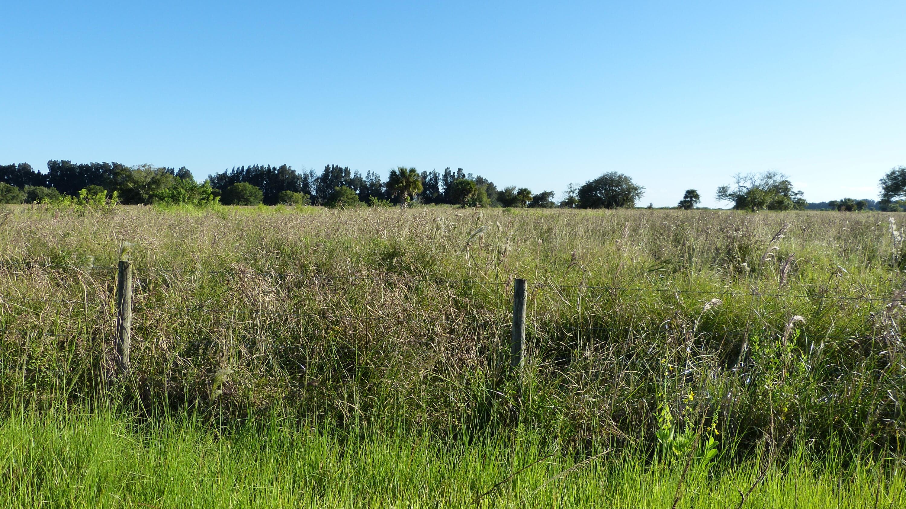 Tbd 2 Pineapple Lane, Fort Pierce, FL 34945 — photo 3 of 4