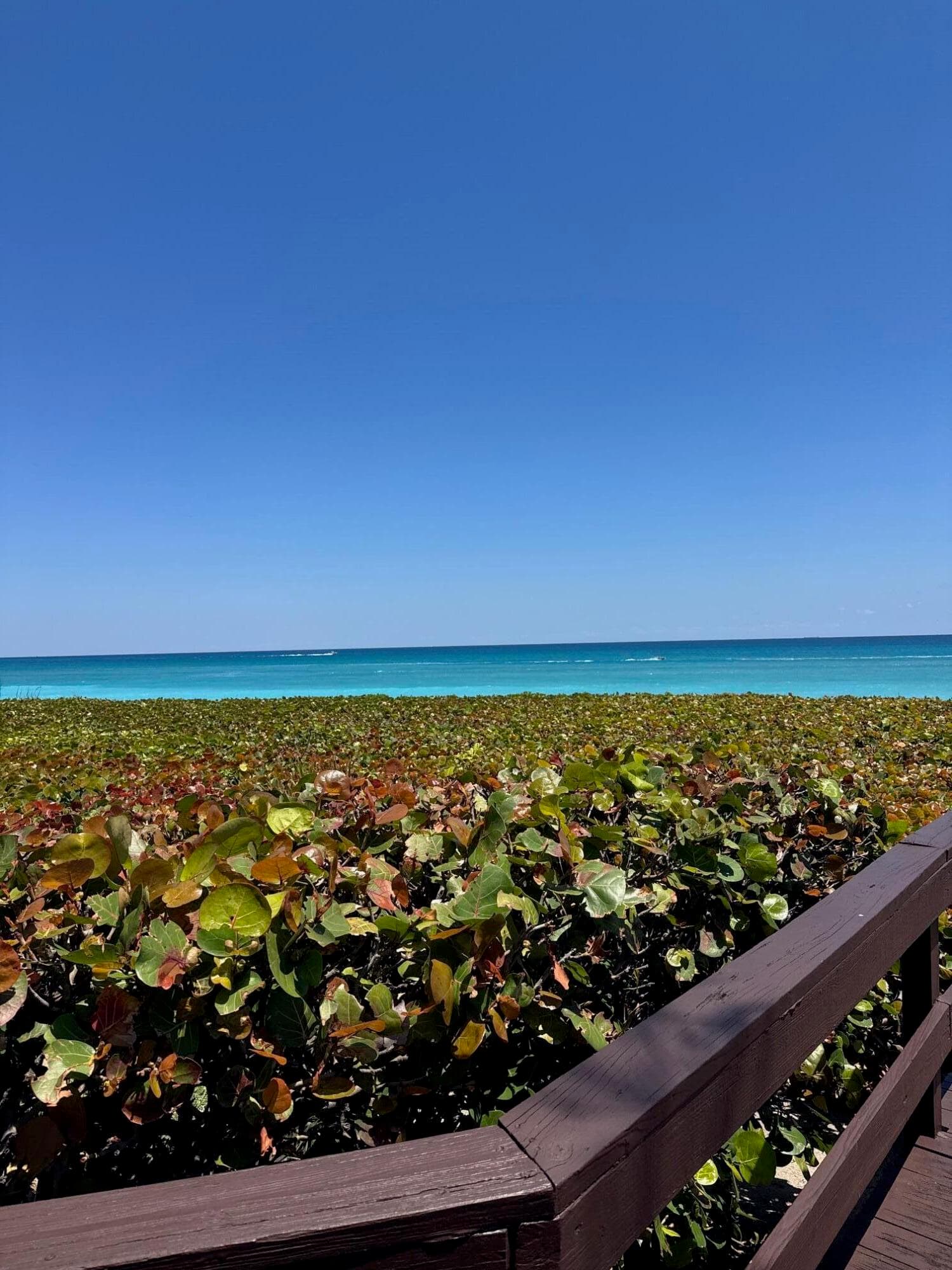 170 Celestial Way 3-2, Juno Beach, FL 33408 — photo 5 of 30