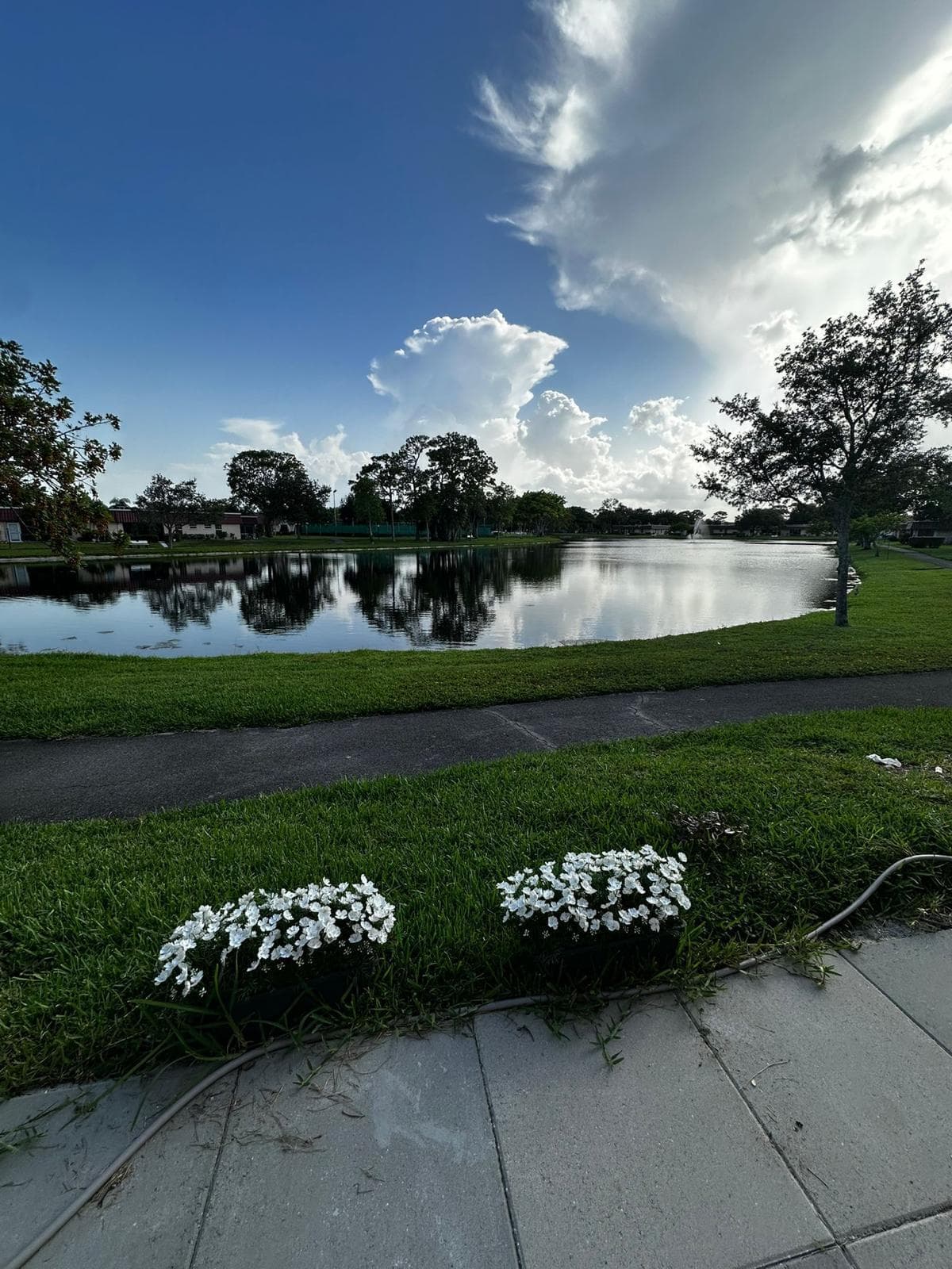 316 Cape Cod Circle, Greenacres, FL 33467 — photo 23 of 23