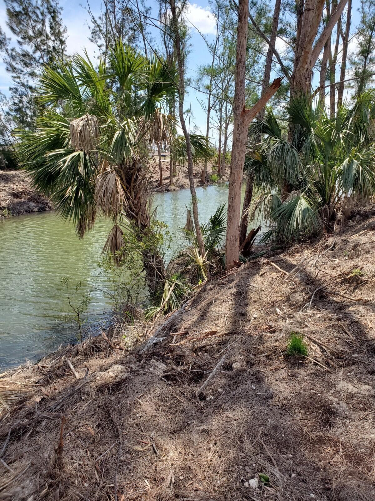 3905 NE 9th Avenue, Cape Coral, FL 33909 — photo