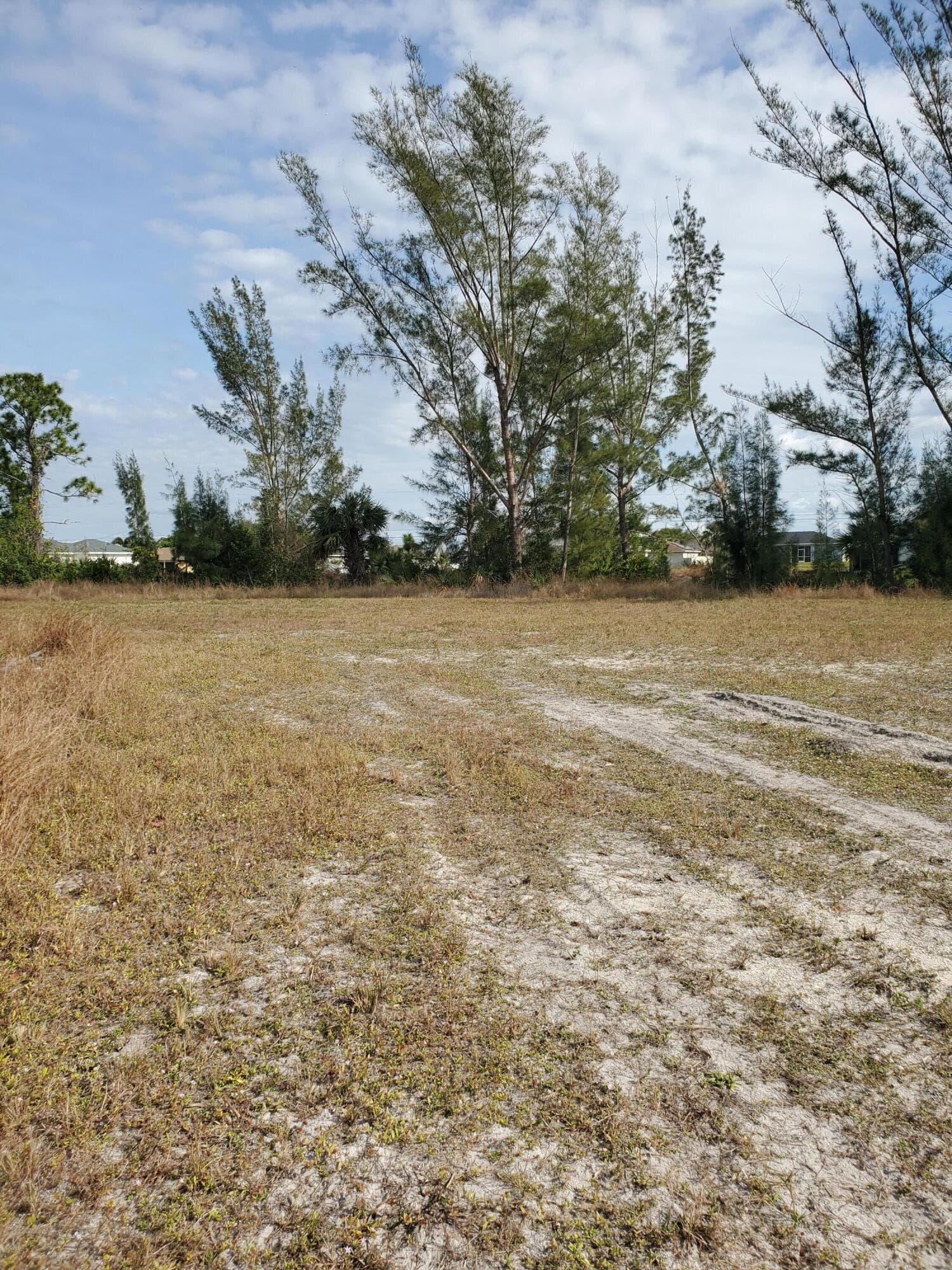 3905 NE 9th Avenue, Cape Coral, FL 33909 — photo 5 of 7