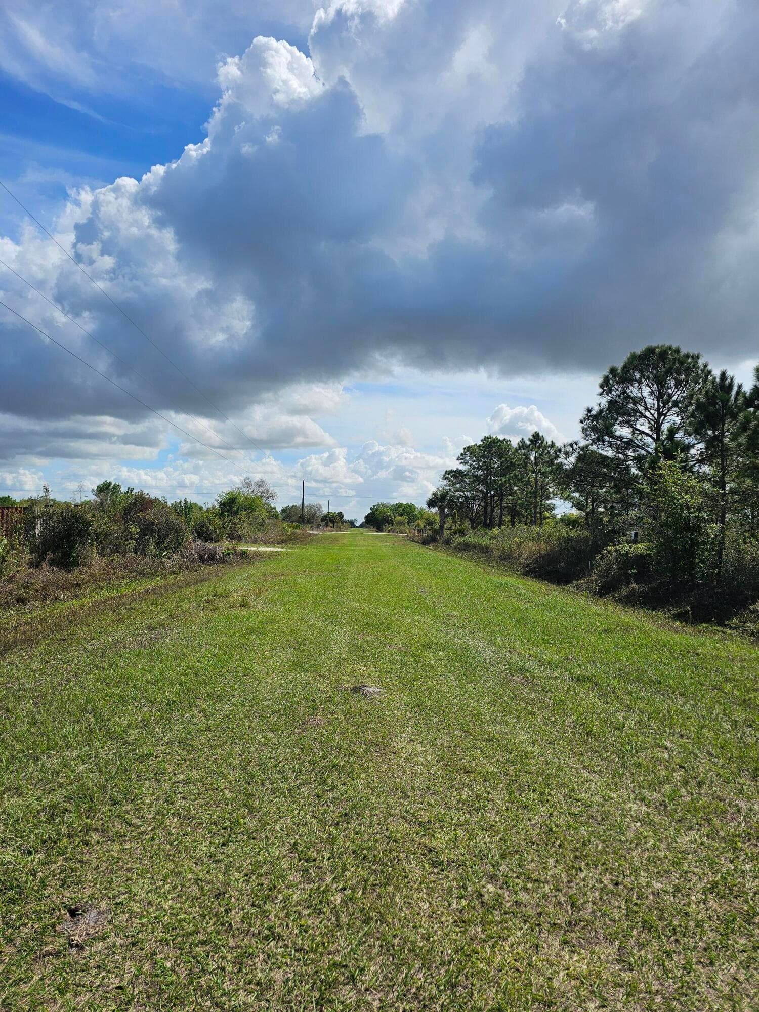 17720 NW 268th Street, Okeechobee, FL 34972 — photo 8 of 11