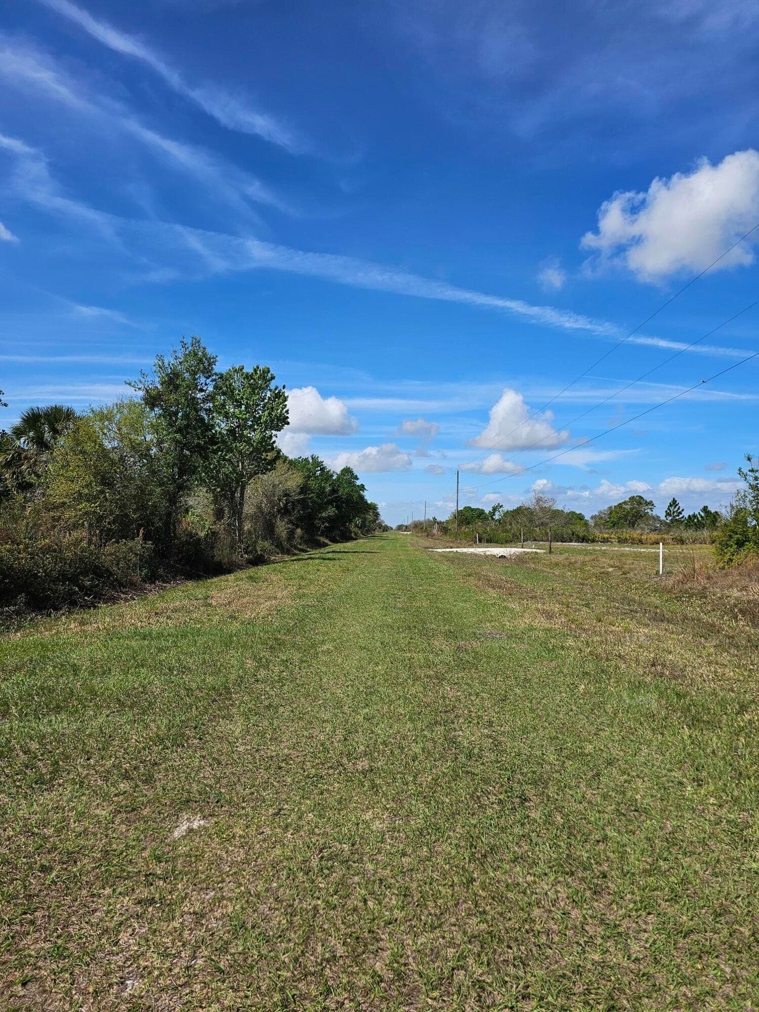 17720 NW 268th Street, Okeechobee, FL 34972 — photo 9 of 11